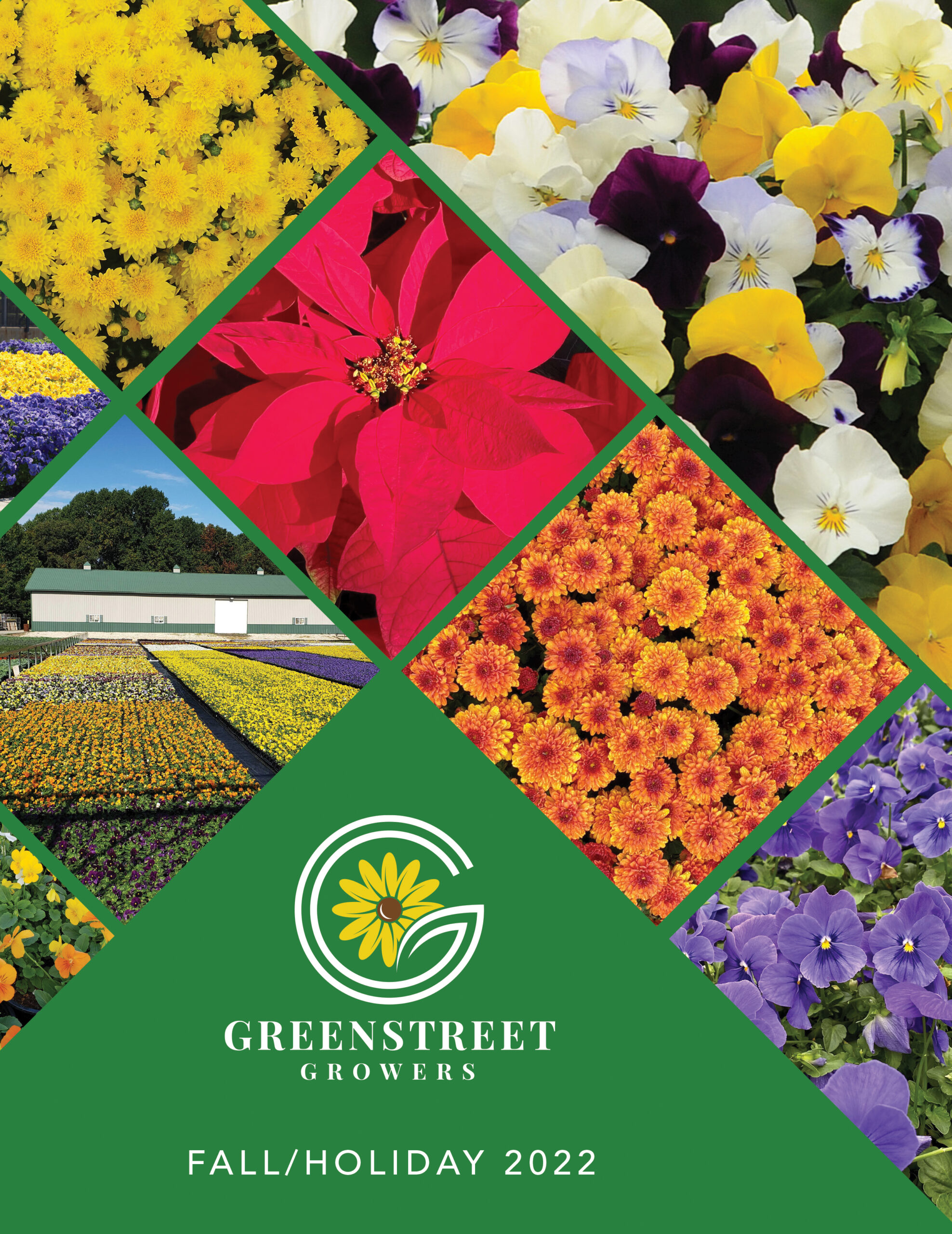 Catalogs Grow Greenstreet