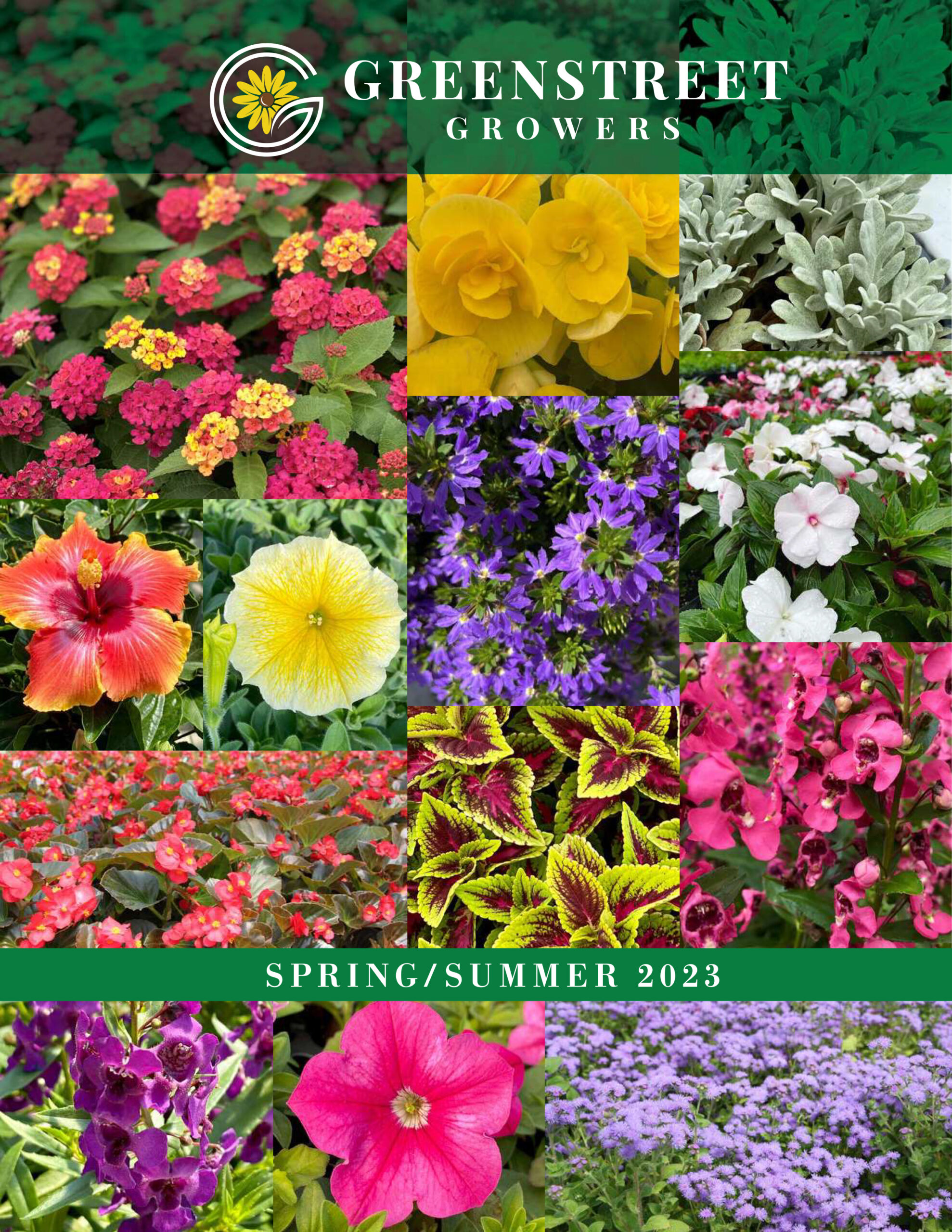 Catalogs Grow Greenstreet