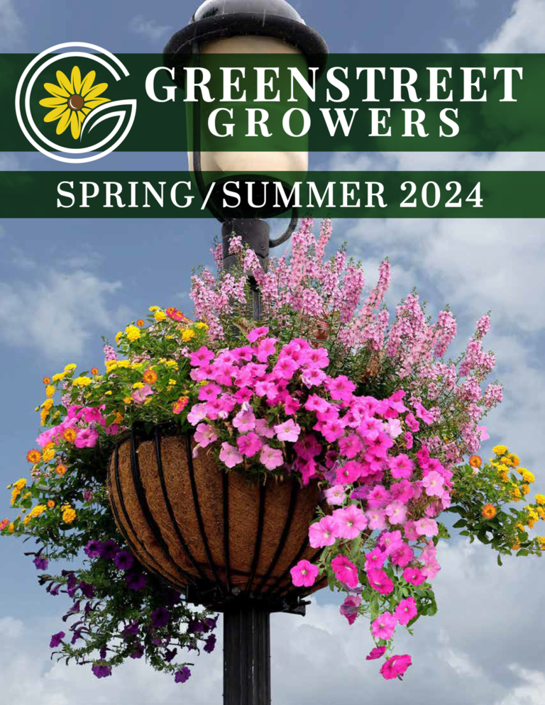 Catalogs & Tools Grow Greenstreet