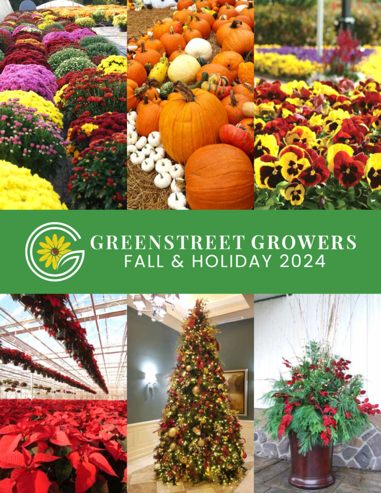 Catalogs & Tools Grow Greenstreet
